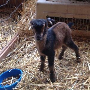 Meet your Posher, Kay